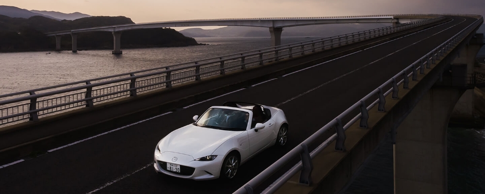 オールナイトプラン