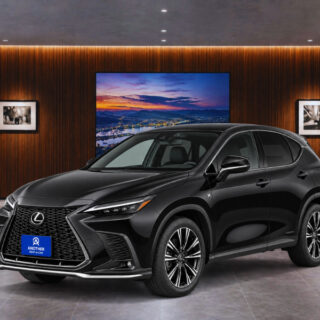 NX350h F SPORT